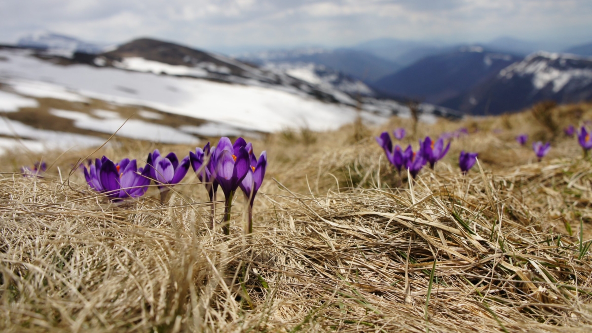 biegun-wschodni-ZloDJXzcMGA-unsplash