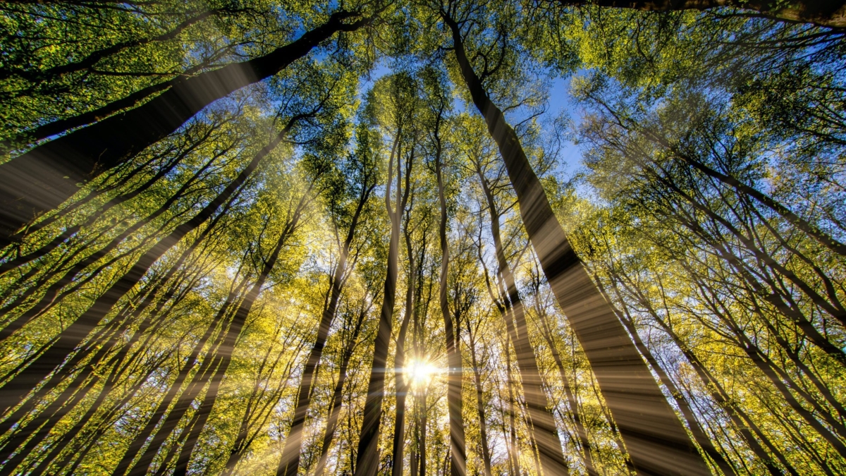 pixpoetry-9JxubXPaidg-unsplash