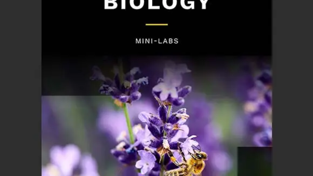 SCI_BIO_IMG_MiniLab_2024-08