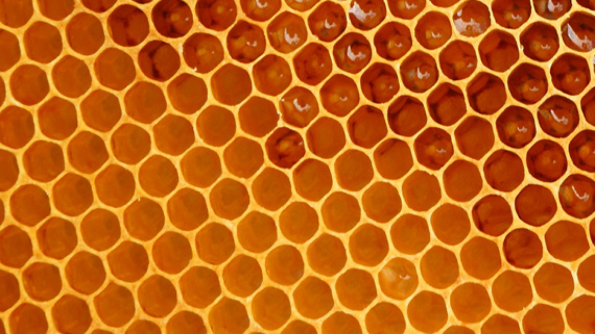 ss-hexagonal-thinking-blog-images-featured-570x570-4066230