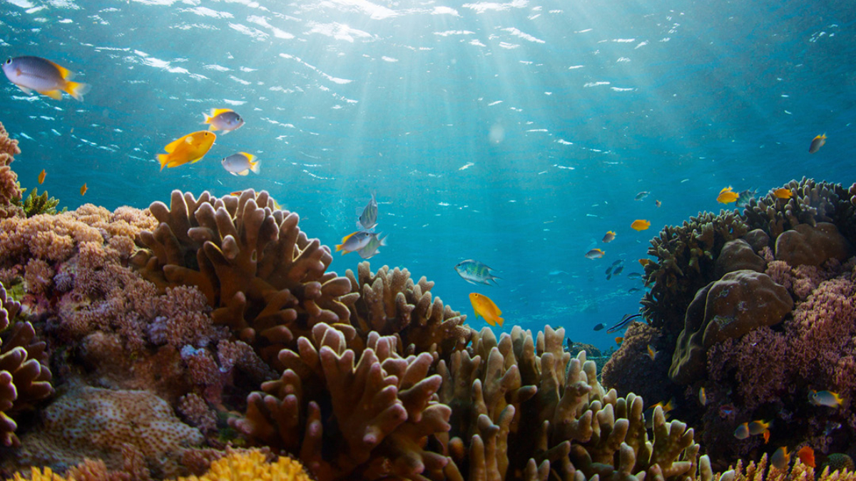 C&C- Real World Connections Science - Blog - 45555302_feature