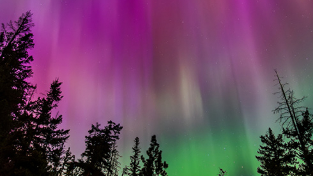 cs-explore-inside-webinar-series-ngl-landscape-4421035