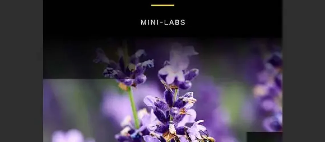 SCI_BIO_IMG_MiniLab_2024-08 SCI_BIO_IMG_MiniLab_2024-08